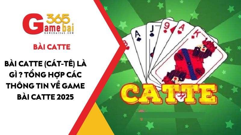 Bài Catte (Cát-Tê) là gì ? Tổng hợp các thông tin về game bài Catte 2025