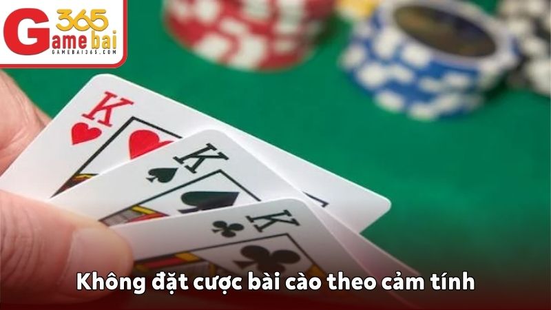 Không nên đặt cược theo cảm tính mà cần có chiến thuật cụ thể 