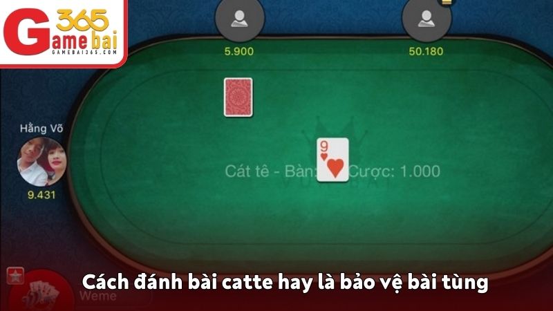 Bảo vệ bài tùng là cách đánh catte hay