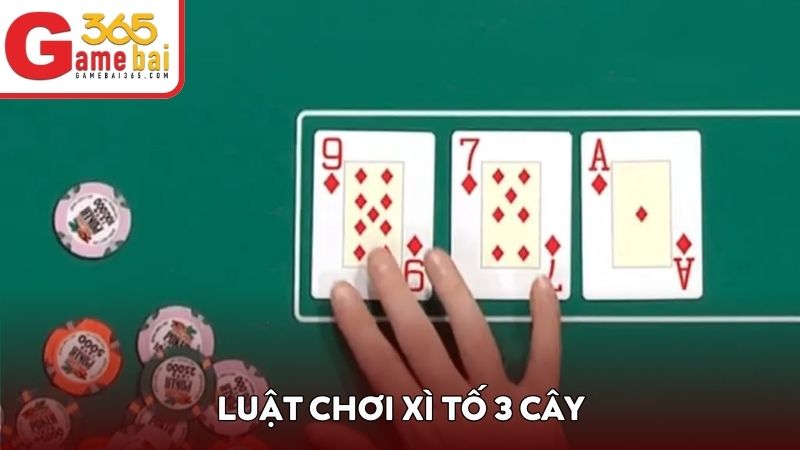Luật chơi xì tố 3 cây chi tiết cho newbie 