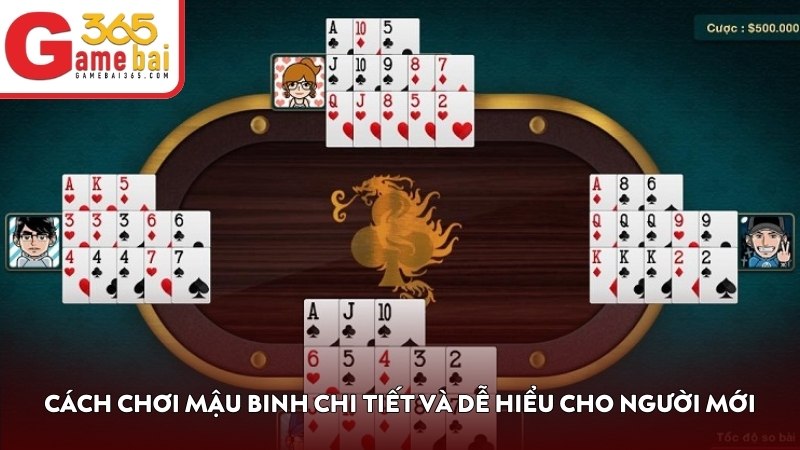 Cách chơi Mậu Binh chi tiết và dễ hiểu cho người mới