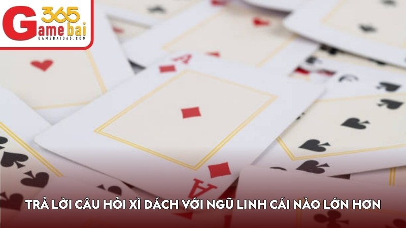 Trả lời câu hỏi Xì Dách với Ngũ Linh cái nào lớn hơn