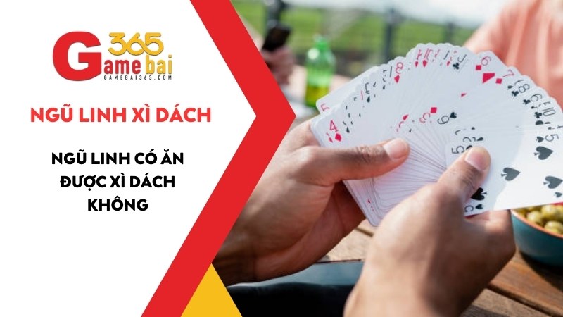 Ngũ Linh Có Ăn Được Xì Dách Không – Giải Thích Chi Tiết Cho Người Mới