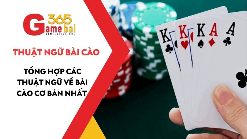 Các thuật ngữ Bài Cào – Tổng hợp và giải thích chi tiết dễ hiểu nhất