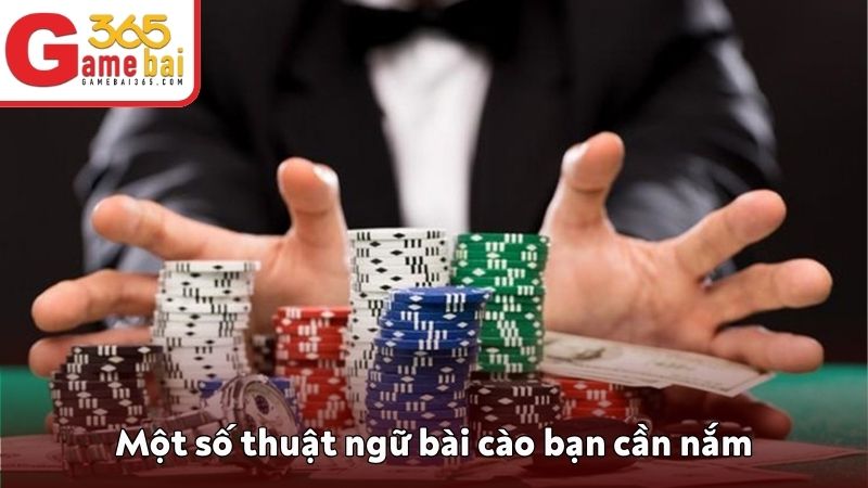 Những thuật ngữ bài cào quan trọng 