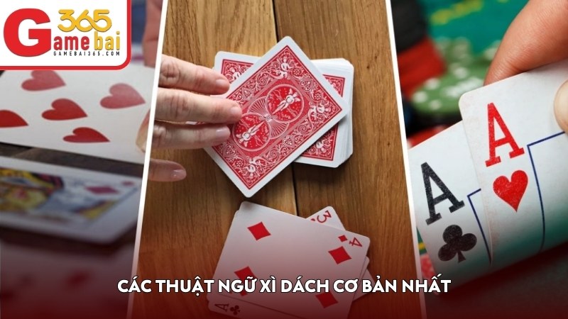 Các thuật ngữ Xì Dách cơ bản nhất