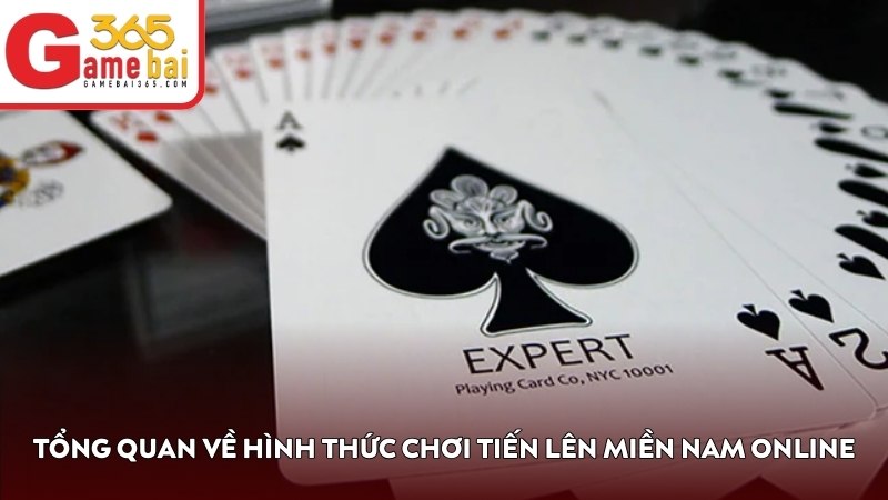 Tổng quan về hình thức chơi Tiến Lên Miền Nam online