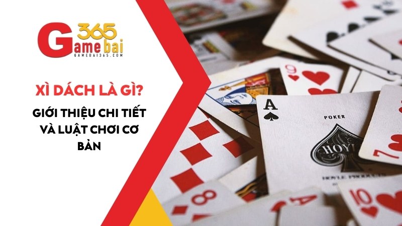 Xì Dách Là Gì? Giới Thiệu Chi Tiết Và Luật Chơi Cơ Bản